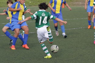 开云APP-美国网球队逆转法国网球队，纳达尔统治全场