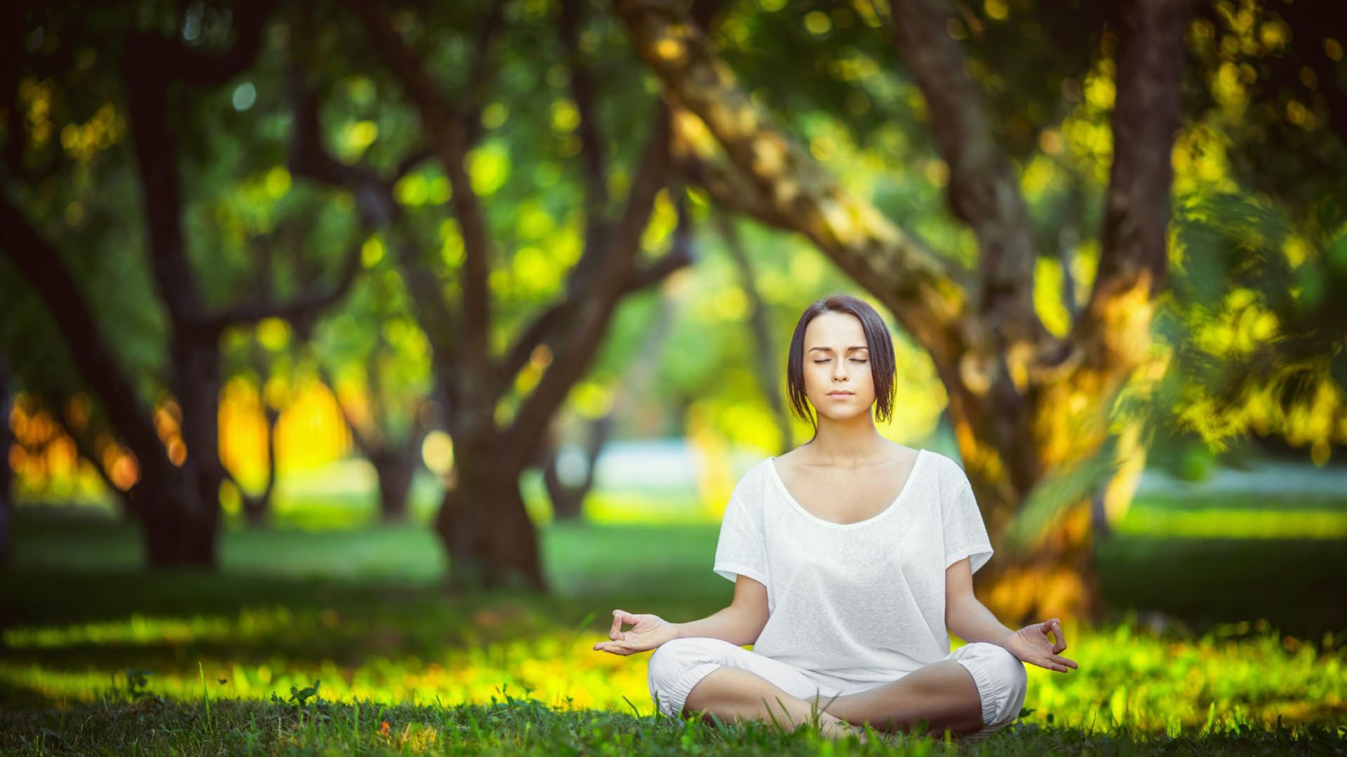 这是一篇为您定制的、具有唯一性的深度赛事分析/叙事文章